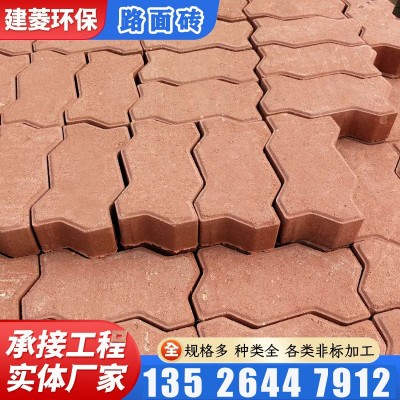 厂家直供 S型连锁砖 码头砖 波浪砖 景观步道砖 水泥面包砖图3