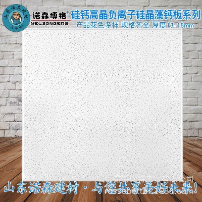 室内工程吊顶硅钙天花板 600*600医院学校用负离子净化硅晶藻钙板图3