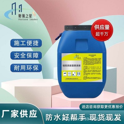 硅烷改进型浸渍液 异辛基异丁基 路桥防水防腐保护涂层材料 1桶图3