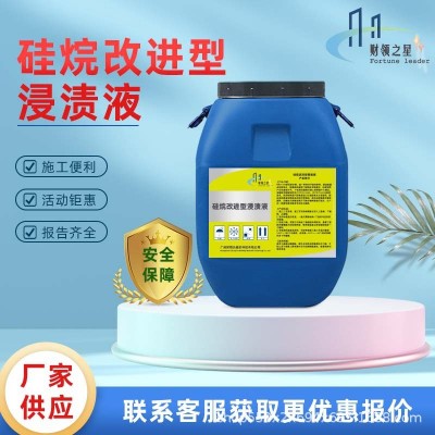 硅烷改进型浸渍液 异辛基异丁基 路桥防水防腐保护涂层材料 1桶