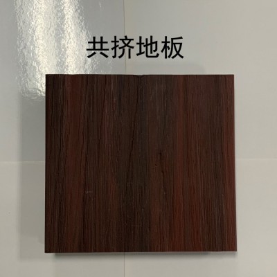 厂家直销户外共挤塑木地板防腐木质防滑生态PE木塑户外专用图2