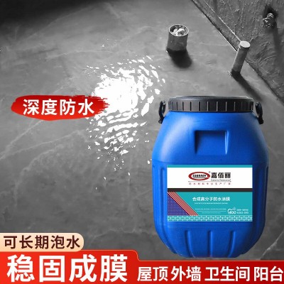 合成高分子防水涂料 屋面防潮抗渗材料 单组份水性乳液防水批发图3