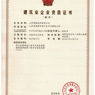 艺术漆内外墙面通用防水防晒可冲洗高级艺术馆店面服装店饭店装修图3