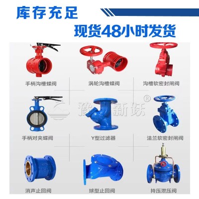 Y型过滤器 球墨铸铁GL41H-16Q水利系统用法兰式过滤器DN50图3