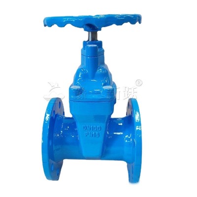 DN50-300法兰闸阀软密封暗杆闸阀消防铸铁手动阀门厂家供应图4