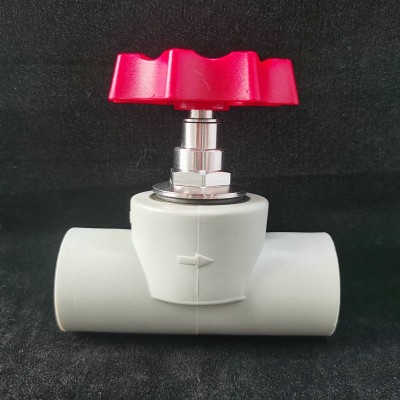 厂家批发联塑款ppr升降截止阀 PPR截止阀铜芯闸阀卡簧阀芯图4