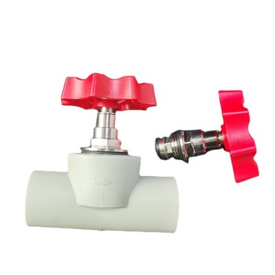 厂家批发联塑款ppr升降截止阀 PPR截止阀铜芯闸阀卡簧阀芯图3