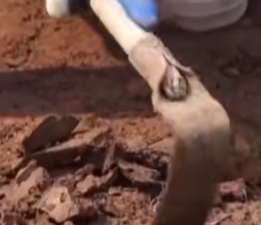 史前建筑工艺发展情况如何？来屈家岭遗址找到答案