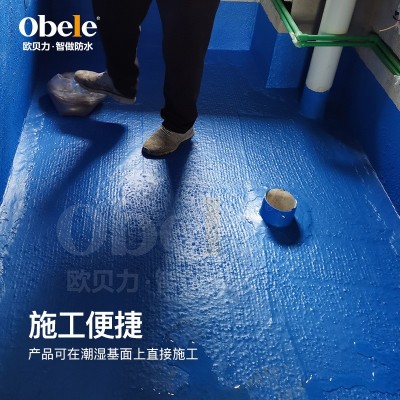 多彩HB型高分子防水涂料 卫生间深层抗渗厨房外墙防水涂料疏水耐图3