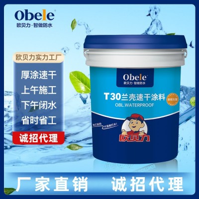 欧贝力T30速干厚涂型厨卫墙面地面专用双组分JS水泥基防水涂料图2