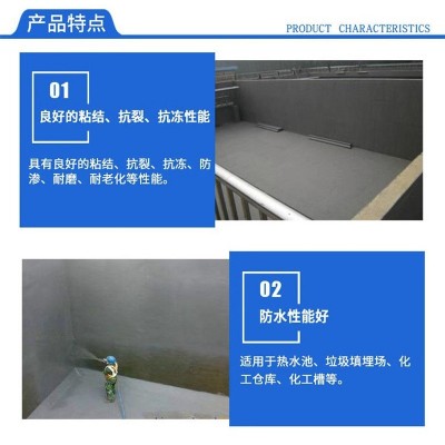 氯丁胶乳防水砂浆混凝土大坝港口防渗修补双组份阳离子水泥抗裂图2