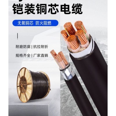 铜芯电缆YJV1*185/10MM-630MM全项保检厂家直营电气工程安装图4