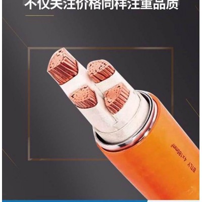 防火线缆YTTWY RTTYZ BTTWZ RTTZ3*185+2*95矿物绝缘电缆防火线国标图5