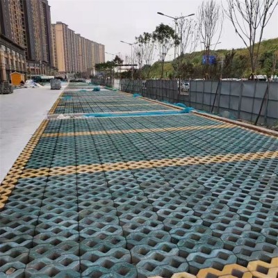透水砖 盲道 九孔草坪砖 停车场小区园林绿化水泥砖图3
