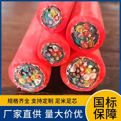 ZR-KFVP KFVP2 KFVP2-22耐高温耐油氟塑料绝缘屏蔽控制电缆 防腐图4