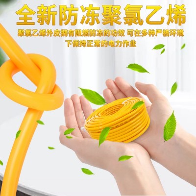防冻防水电源线国标二芯电线电缆线护套线家用软线2.51.5平方图4