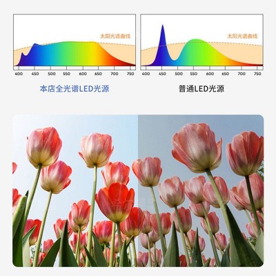 卧室灯2025主卧室简约现代餐厅书房走廊吸顶灯具家居三色变光调光图3