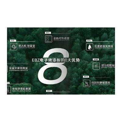 EBZ电子烤漆板